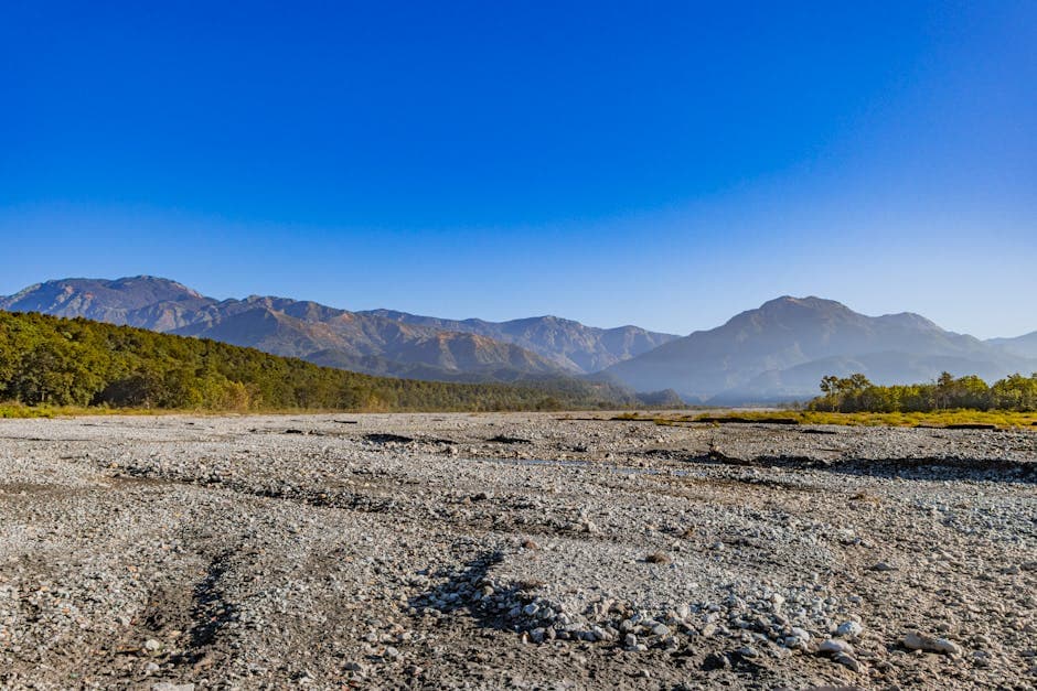Jim Corbett