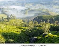 Munnar