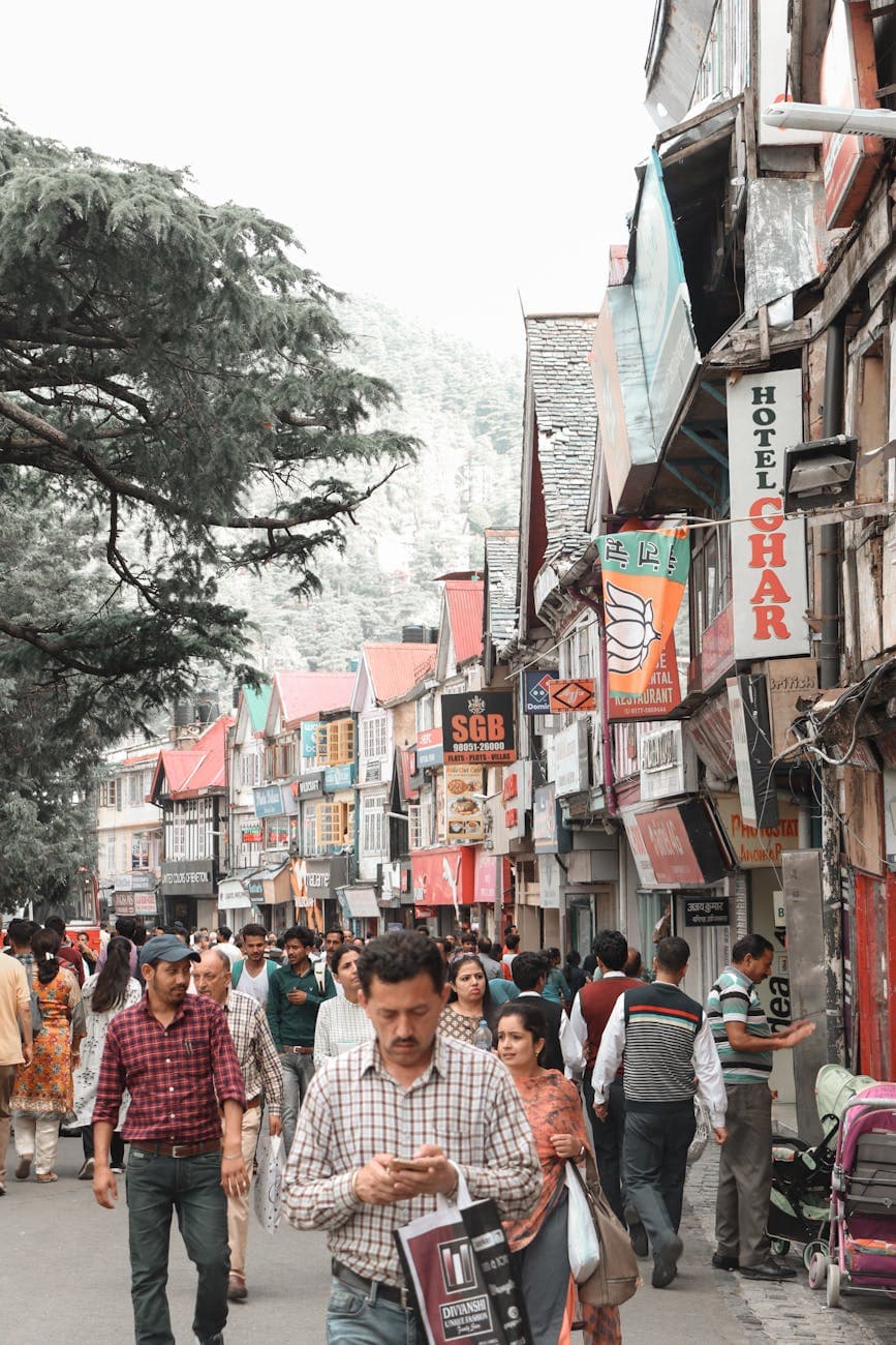Shimla