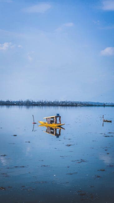 Srinagar