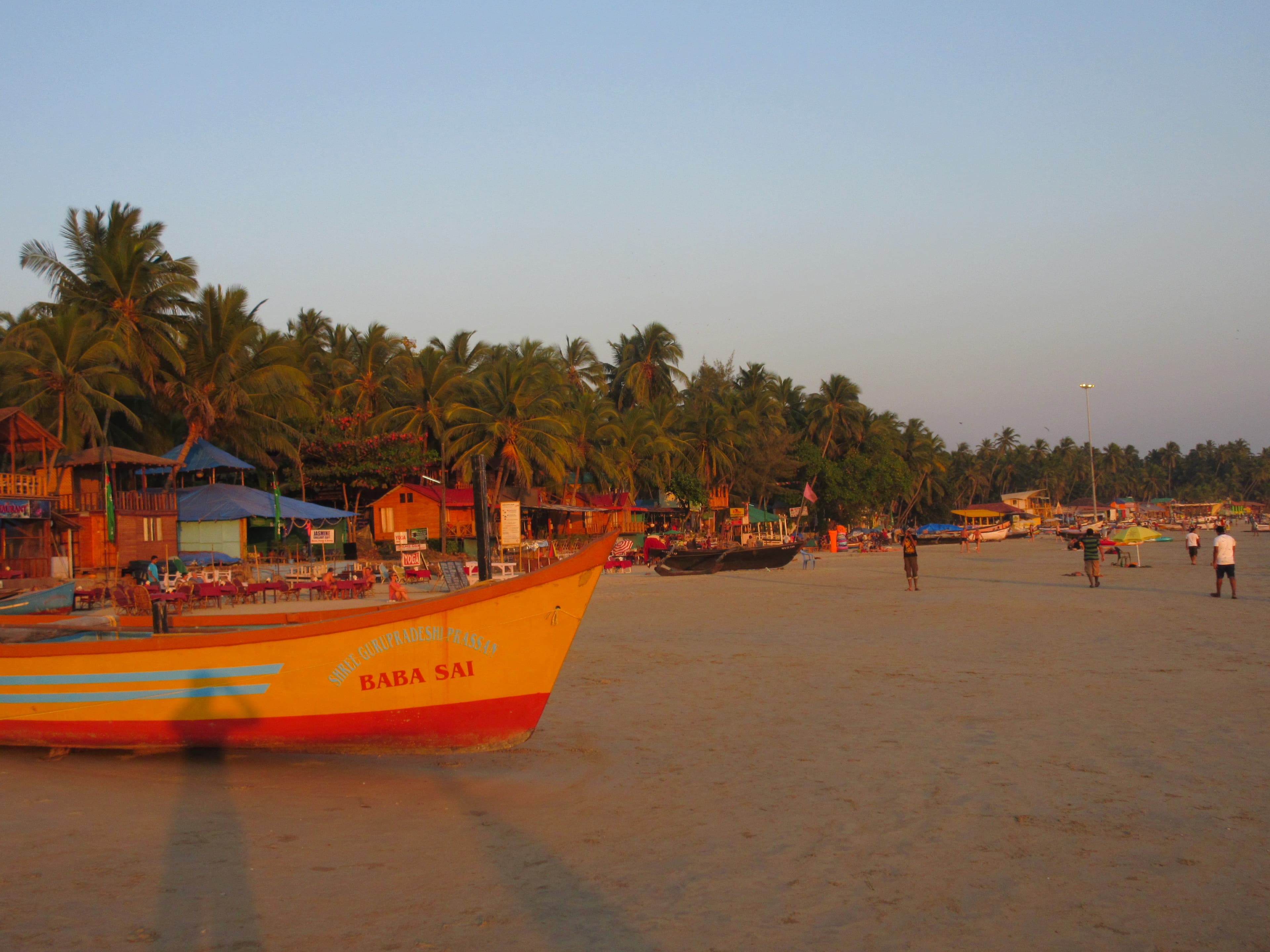 Beach and palm-lined coastline beside the sea in Goa